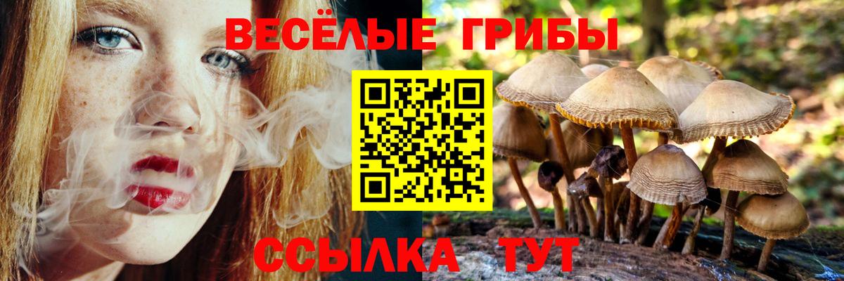 где можно купить   Галлюциногенные грибы прущие грибы  Вход с VPN  Балашов 