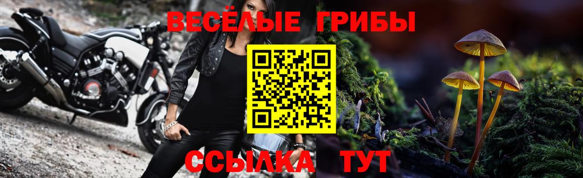Галлюциногенные грибы прущие грибы Балашов